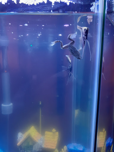 Pet Supply Store «PetSmart», reviews and photos, 157 Levittown Pkwy B, Levittown, PA 19055, USA