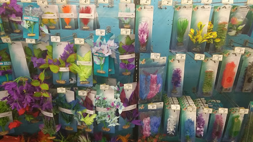 Pet Supply Store «Petco Animal Supplies», reviews and photos, 545 W Prien Lake Rd, Lake Charles, LA 70601, USA