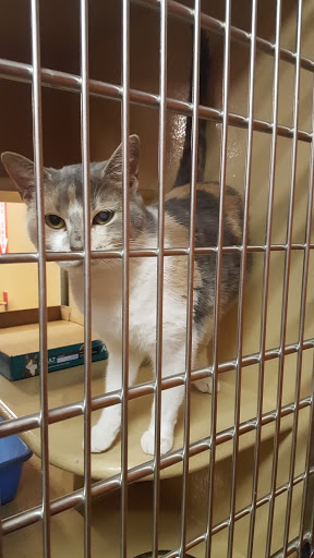 Pet Supply Store «PetSmart», reviews and photos, 122 Dunes Plaza, Michigan City, IN 46360, USA