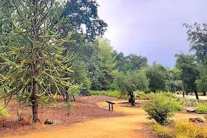 Mc Connell Arboretum & Botanical Gardens image