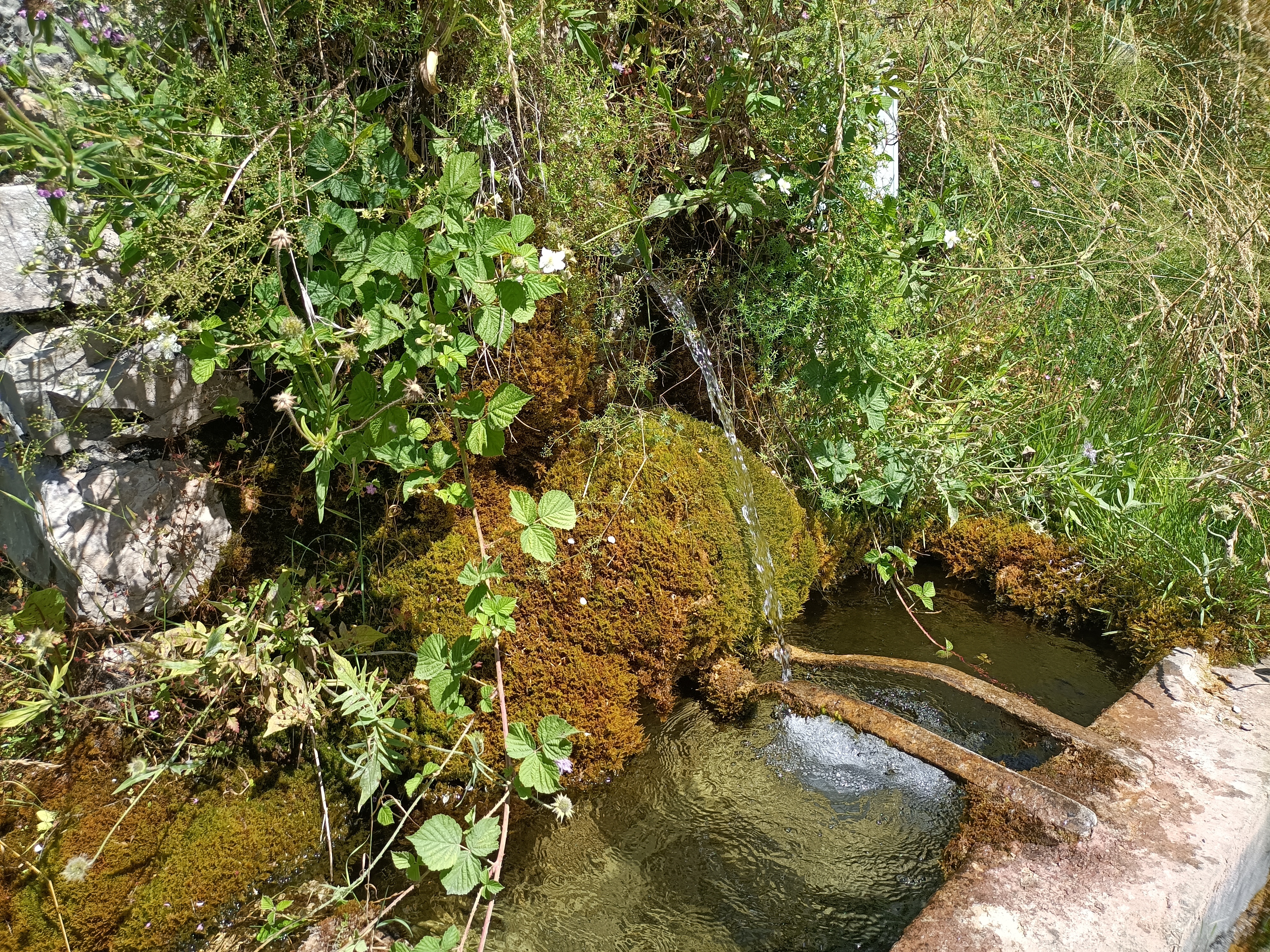 Photo n° 1 de l'avis de Maud.o fait le 18/07/2023 à 13:17
