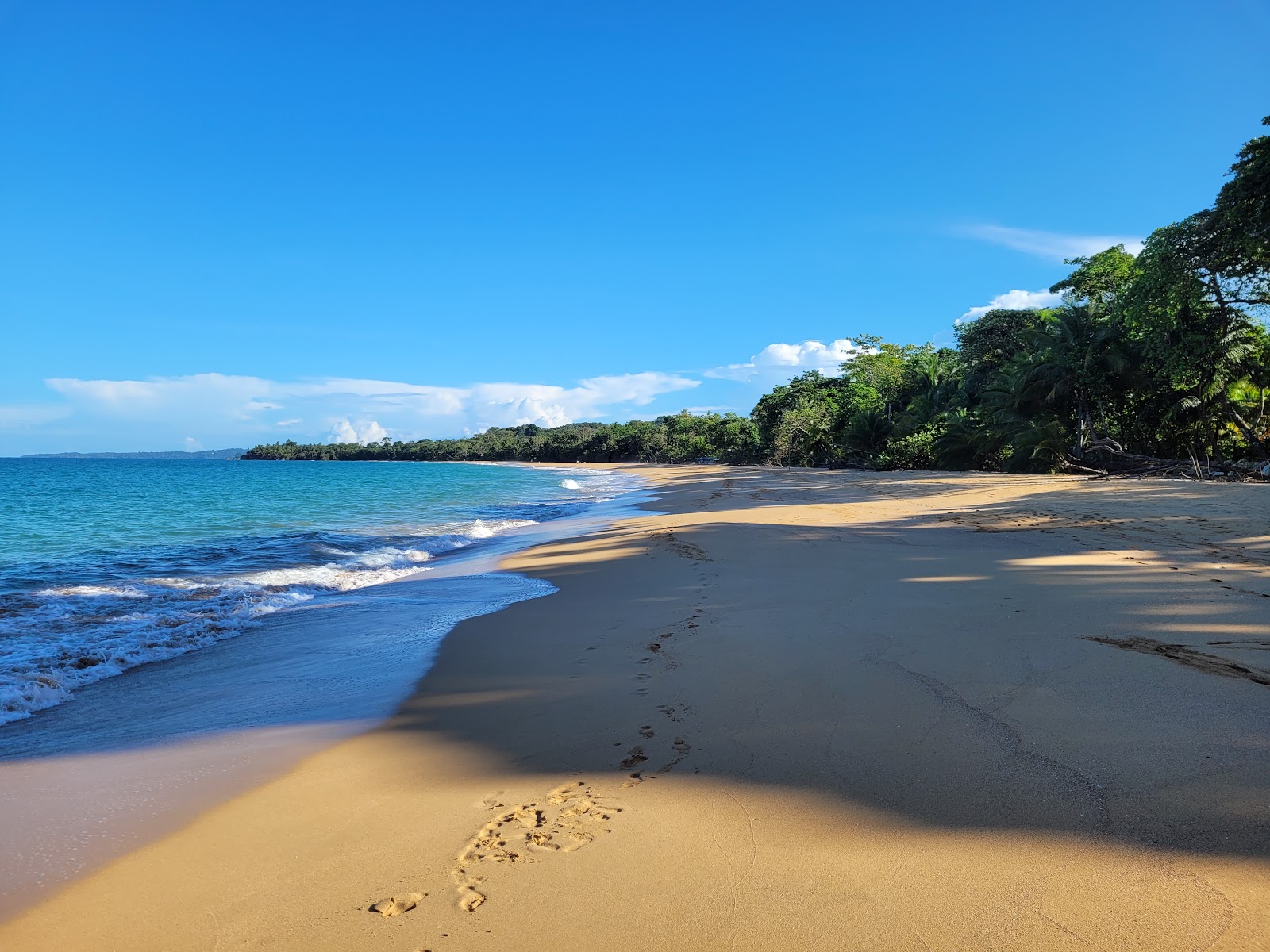 Foto de Playa Bluff con arena brillante superficie