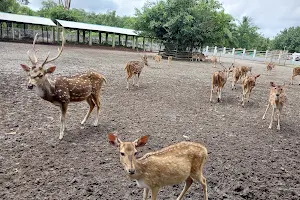 Karamjal Wildlife Breeding Center image