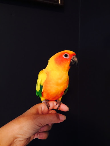 Pet Store «Planet Pet», reviews and photos, 1980 W Fairbanks Ave, Winter Park, FL 32789, USA