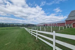 Hathaway Farm & Corn Maze image