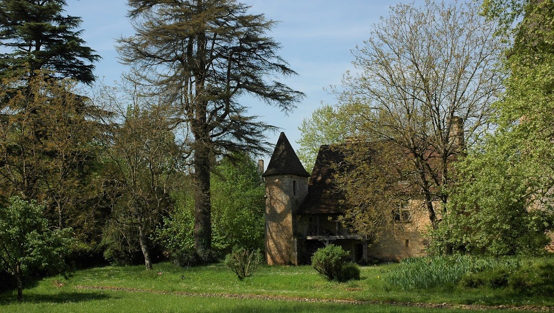 GÎTES LESPINASSE - SAINT-LÉON-SUR-VÉZÈRE à Saint-Léon-sur-Vézère (Dordogne 24)