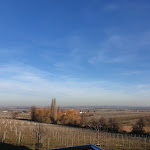 Photo n°1 de l'avis de D. fait le 27/02/2019 à 04:04 sur le  Wohlfühlhotel Alte Rebschule à Rhodt unter Rietburg