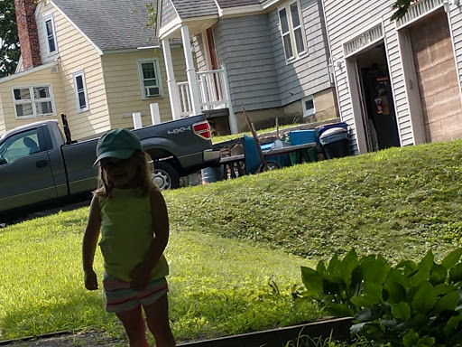 Nature Preserve «Dolan Pond Conservation Area», reviews and photos, Webster Park, West Newton, MA 02465, USA