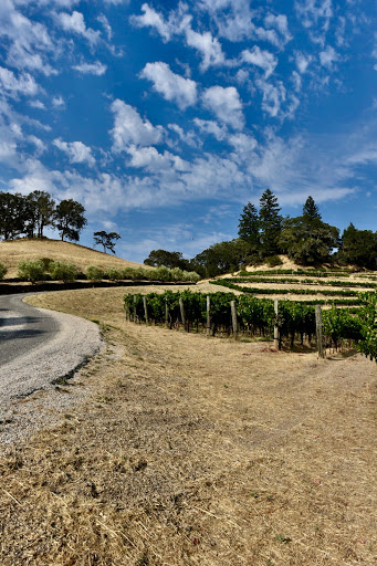 Medlock Ames Historic Healdsburg Tasting Room image