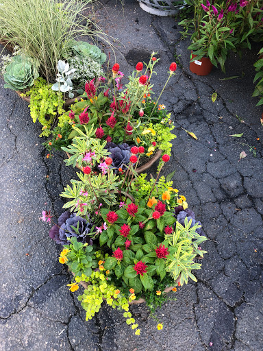 Garden Center «Copia Home and Garden», reviews and photos, 475 Smith Ridge Rd, South Salem, NY 10590, USA