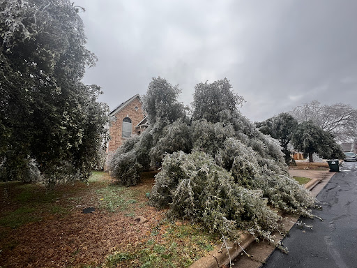 Triad Tree Service And Lawn Service 3