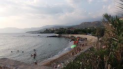 Halikoura beach'in fotoğrafı vahşi alan