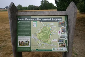 Chorleywood Common image