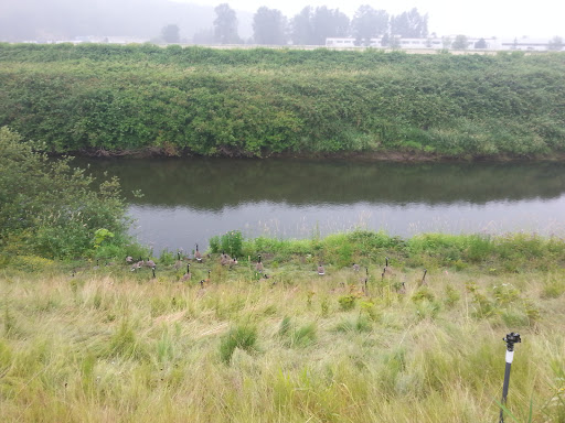 Park «Volunteer Park», reviews and photos, 1247 15th Ave E, Seattle, WA 98112, USA