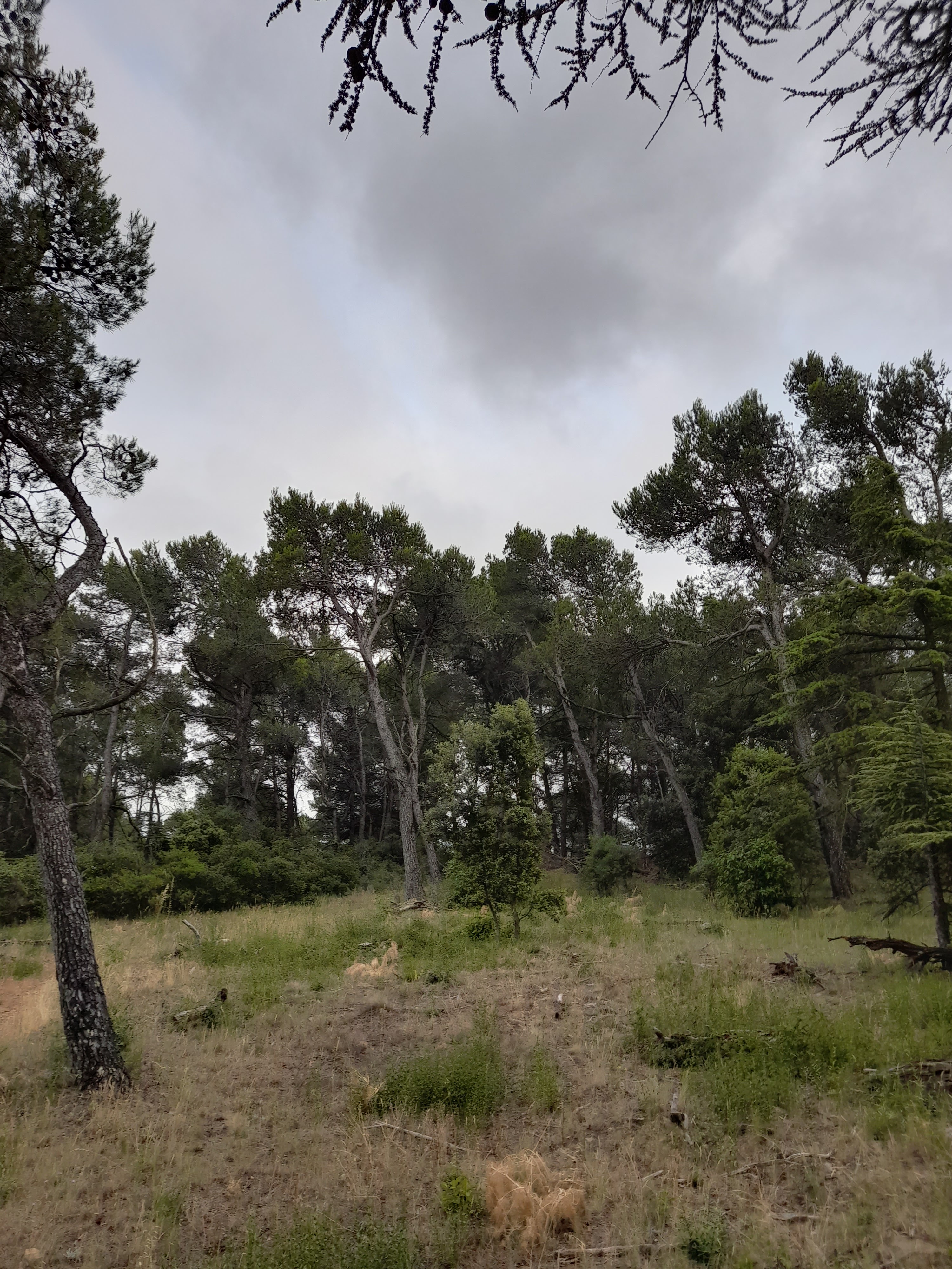 Photo n° 21 de l'avis de Bilbon.A fait le 20/06/2022 à 20:00
