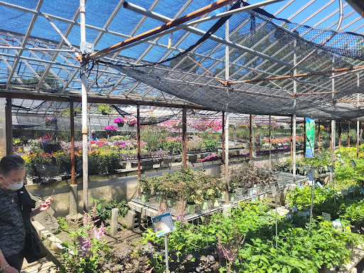 Plant Nursery «Goldner Walsh Garden and Home», reviews and photos, 559 Orchard Lake Rd, Pontiac, MI 48341, USA