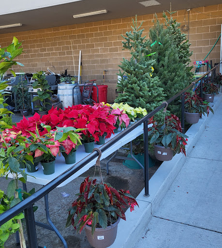 Hardware Store «Pittsburg Ace Hardware», reviews and photos, 125 E Leland Rd, Pittsburg, CA 94565, USA