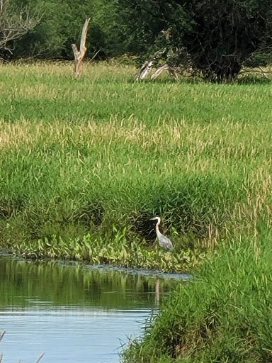 Nature Preserve «Bode Lake», reviews and photos, Bode Rd, Streamwood, IL 60107, USA