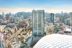 Tokyo Dome Hotel image