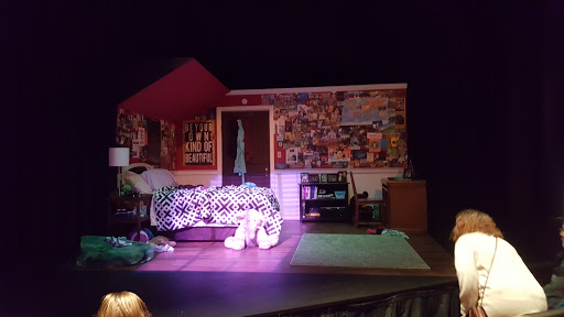 Performing Arts Theater «Bloomsburg Theatre Ensemble», reviews and photos, 226 Center St, Bloomsburg, PA 17815, USA