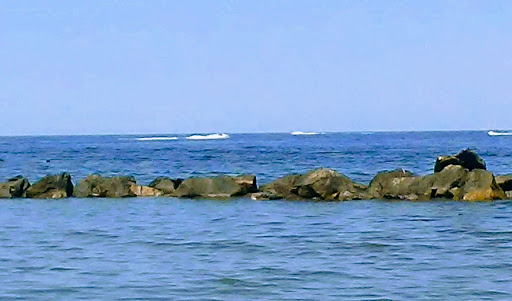 Water Sports Equipment Rental Service «Great White Water Sports», reviews and photos, 1000 E Ocean View Ave, Norfolk, VA 23503, USA