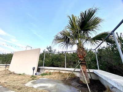 ユニアスシーサイドキャンプ