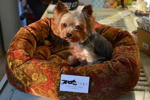 Pet Supply Store «Dogology», reviews and photos, 166 Albany Turnpike, Canton, CT 06019, USA