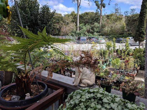 Shopping Mall «Carlmont Village Shopping Center», reviews and photos, 1049 Alameda de las Pulgas, Belmont, CA 94002, USA