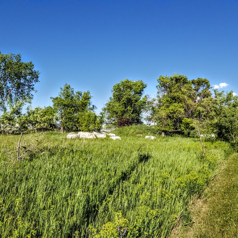 Living Prairie Museum