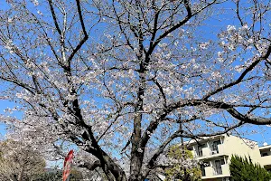 Kyomachi Park image