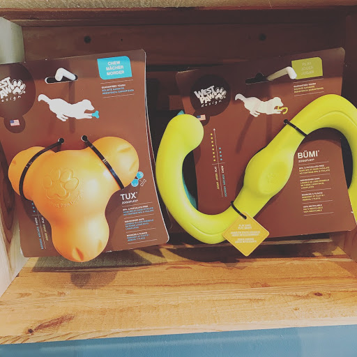 Pet Groomer «Oasis Dog Spa & Shoppe», reviews and photos, 2911 Centre Ave #2, Reading, PA 19605, USA