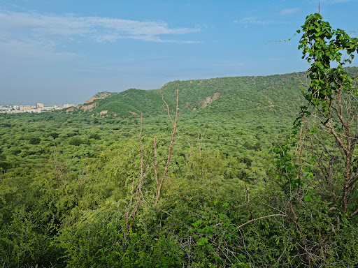Jhalana Safari Park