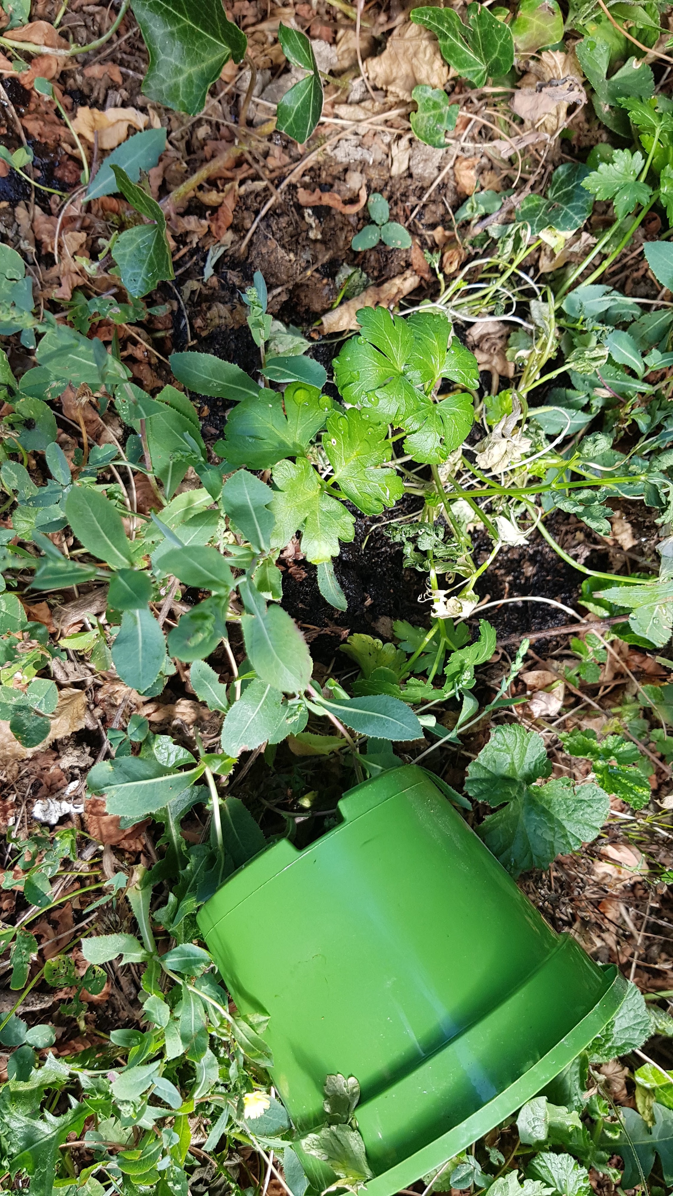 Photo n° 1 de l'avis de Robin.h fait le 02/08/2018 à 16:25