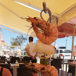 Photo n°9 de l'avis de M... fait le 15/05/2023 à 15:16 sur le  Pedro à Tavira