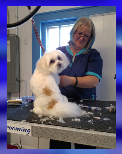 Pet Groomer «Blue Ribbon Dog Grooming LLC Anderson», reviews and photos, 5038 S Scatterfield Rd, Anderson, IN 46013, USA