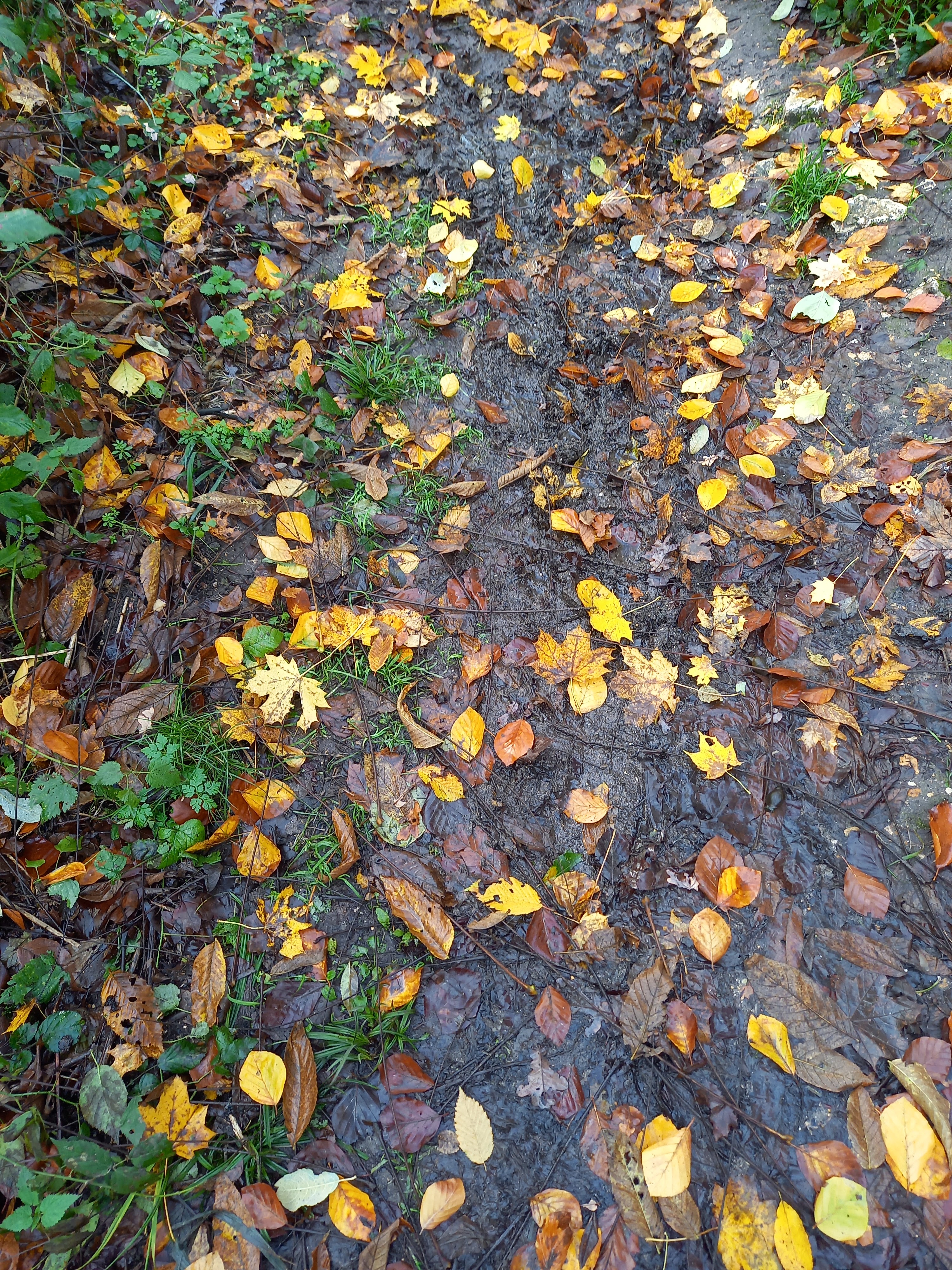 Photo n° 3 de l'avis de Francesca.i fait le 24/01/2023 à 10:40