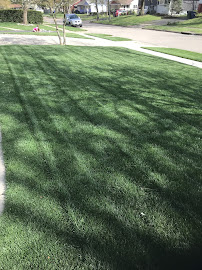 Pitzer's Landscaping