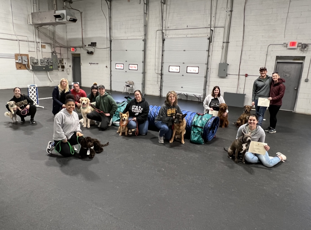 Alpha & Omega Working Dogs - Dog Training
