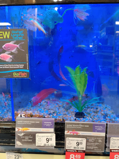 Pet Supply Store «PetSmart», reviews and photos, 215 Needham St, Newton, MA 02464, USA