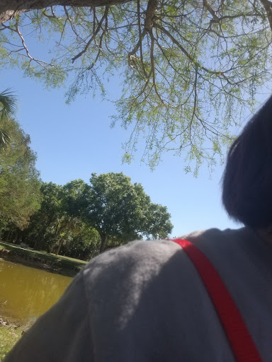 Park «Easterlin Park», reviews and photos, 1000 NW 38th St, Oakland Park, FL 33309, USA