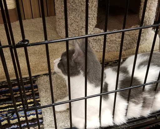 Pet Store «Pet Valu», reviews and photos, 1636 NJ-38, Lumberton, NJ 08048, USA