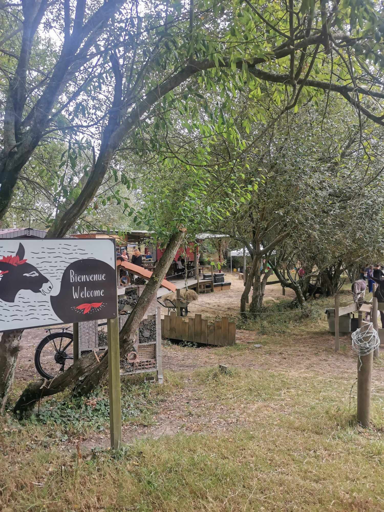 Photo n° 1 de l'avis de Rino.� fait le 26/07/2023 à 13:08