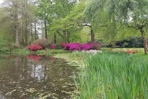 The Woodland Gardens image