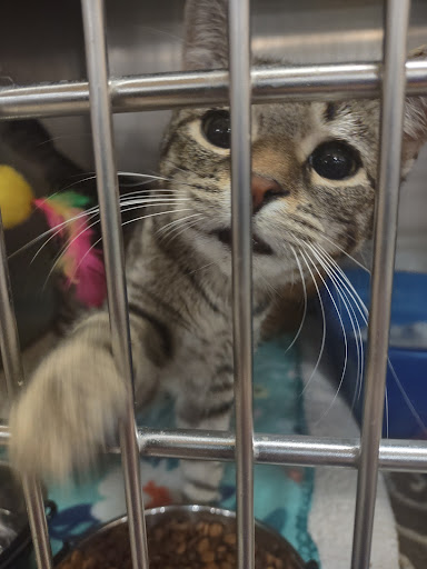 Pet Supply Store «PetSmart», reviews and photos, 1591 Bradley Park Dr, Columbus, GA 31904, USA