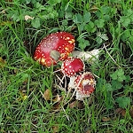 Photo n° 2 de l'avis de Hélène.r fait le 19/10/2020 à 09:52 pour Lac de Ponty à Ussel