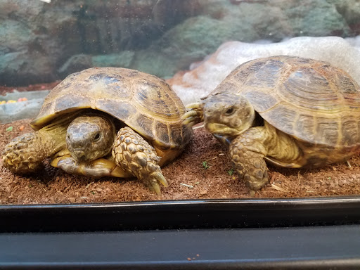 Pet Supply Store «Petco Animal Supplies», reviews and photos, 10 Sylvan St, Peabody, MA 01960, USA