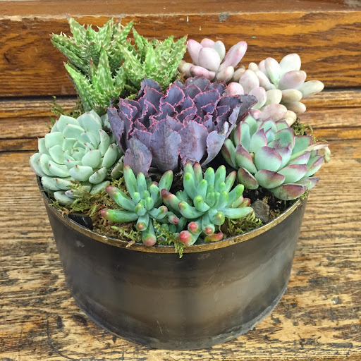 Florist «The Flower Lady», reviews and photos, 1417 Underwood Ave, Milwaukee, WI 53213, USA