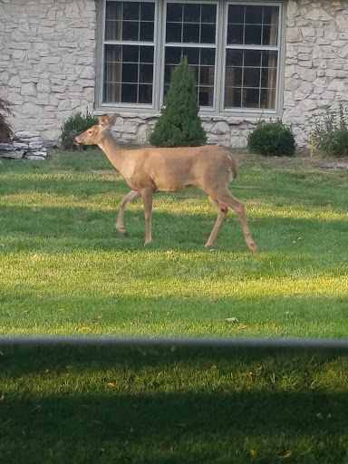 Park «Skiles Test Nature Park», reviews and photos, 6828 Fall Creek Rd, Indianapolis, IN 46220, USA