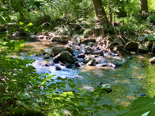 Park «Newlin Grist Mill Park», reviews and photos, 219 Mill Race Pl, Glen Mills, PA 19342, USA