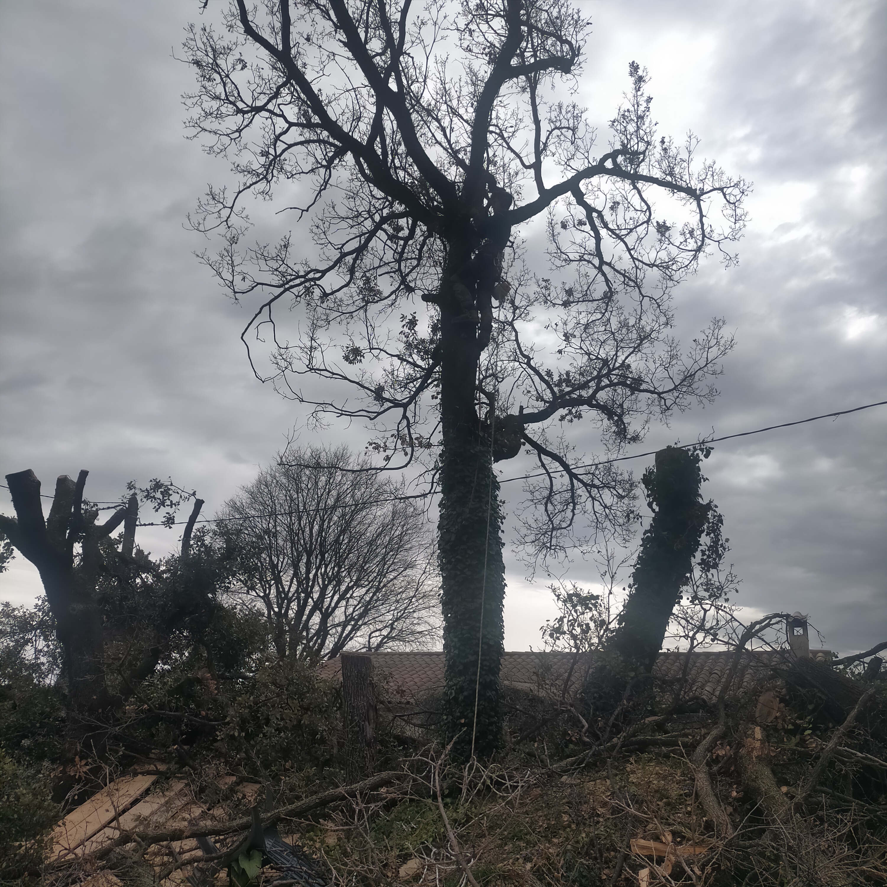 Photo n° 2 de l'avis de Cecile.c fait le 28/02/2024 à 15:37